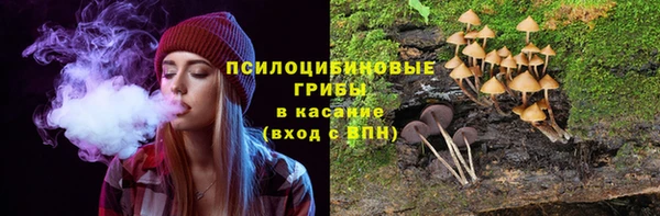 не бодяженный Каменск-Шахтинский