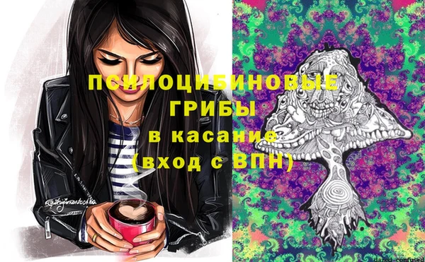 не бодяженный Каменск-Шахтинский