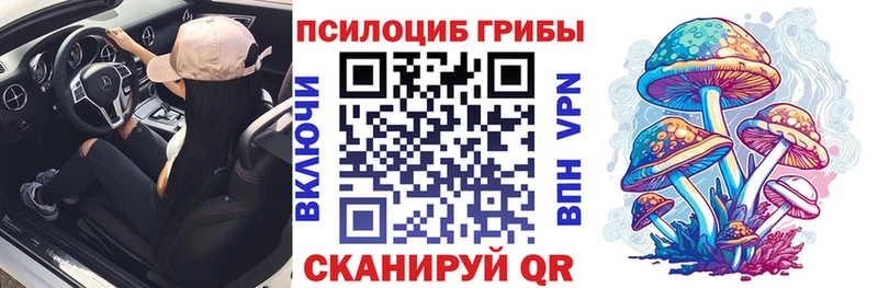 сайты даркнета телеграм  Черногорск  Галлюциногенные грибы мухоморы  как найти закладки 