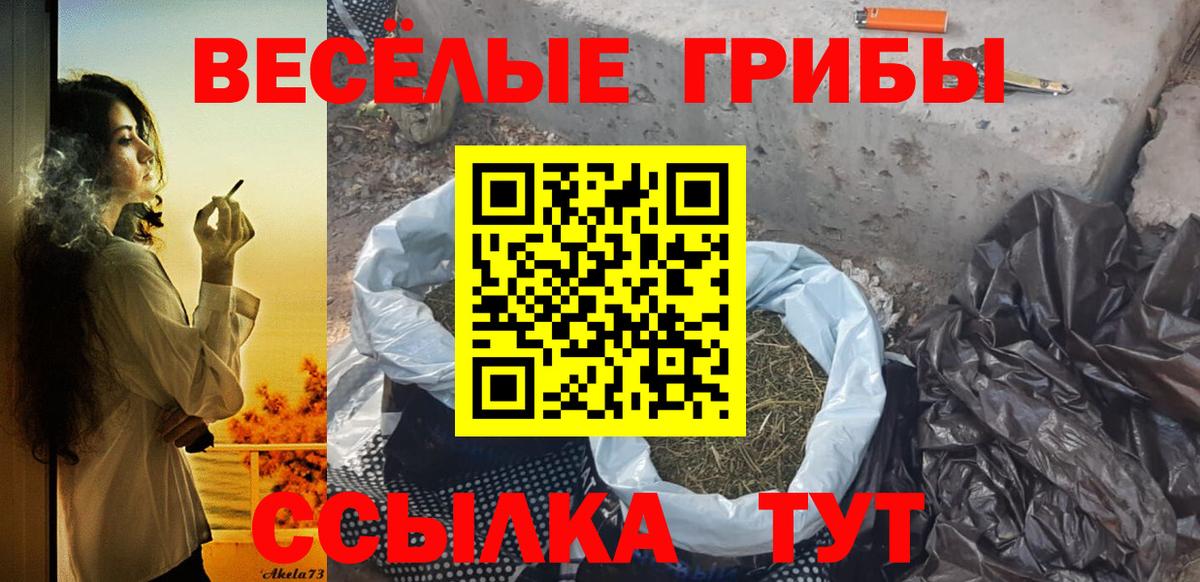 Псилоцибиновые грибы Magic Shrooms Черногорск